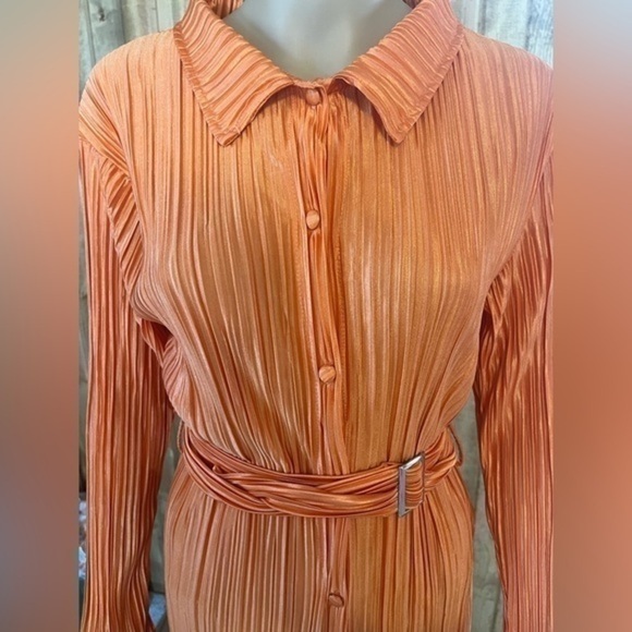 Women Pleated Long Sleeve Shirt Dress Pintuck Button Down Mini Blouse Dress - Picture 5 of 8